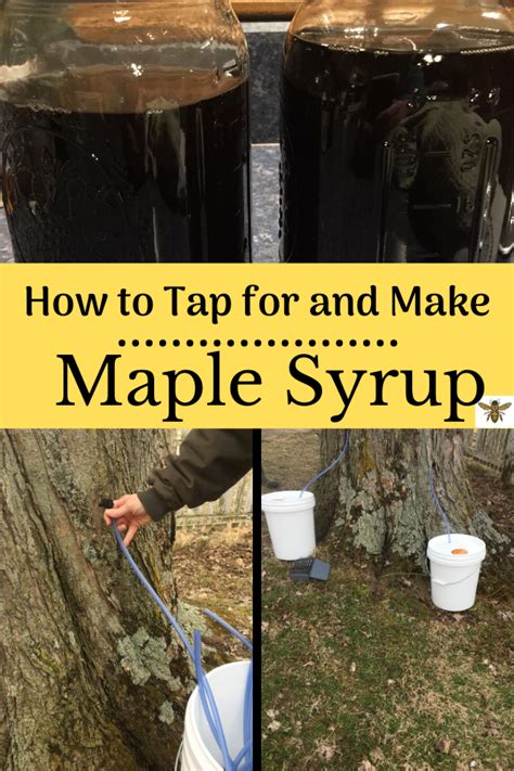 How To Make Maple Syrup Artofit