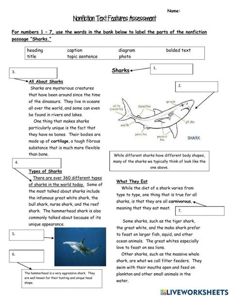 Text Features Worksheet 3rd Grade – Martin Lindelof