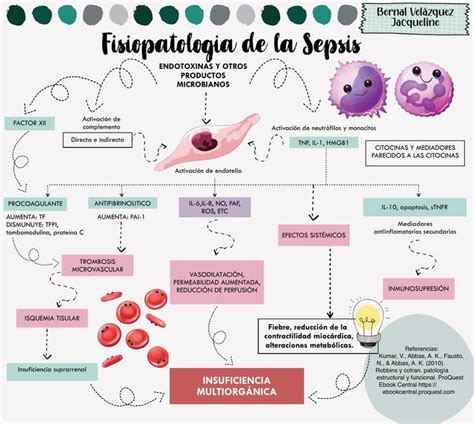 Fisiopatologia Sepsis Hot Sex Picture