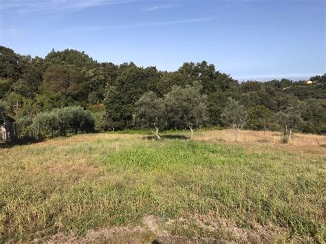 Quintas e casas rústicas Quintinha T0 à venda em Aldeias e Mangualde