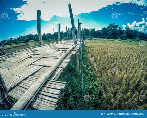 Su Tong Pae Bridgethe Bamboo Bridge Of Faith Across The Rice Fields In