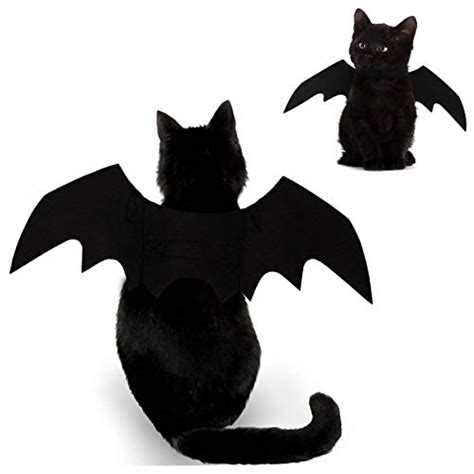 Foogles Costume D Halloween Pour Chat Ailes De Chauve Souris Noires