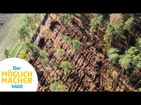 Der Svo M Glichmacher Wald I Kinoversion Youtube