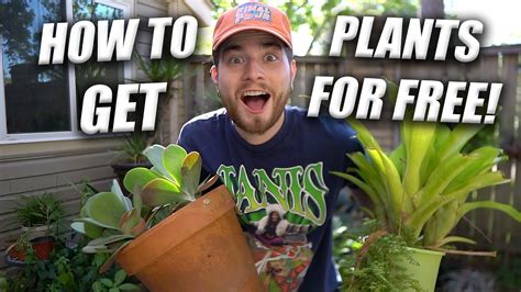 How To Get PLANTS For FREE A Guide To Finessing Indoor Outdoor