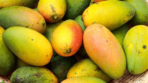 Simak Inilah 9 Manfaat Buah Mangga Mulai Dari Menjaga Kesehatan Mata