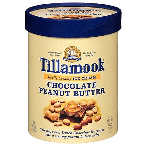 Tillamook Chocolate Peanut Butter Ice Cream Qt Tub Ice Cream