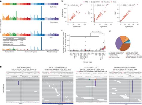 The Idn Indel Mutational Signature In Pediatric Leukemias A Profiles