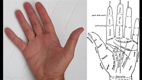 Know Which Lines On Your Palm Can Indicate Health Wealth Education