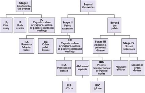 Ovarian Cancer The Bethesda Handbook Of Clinical Oncology 4th Ed