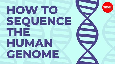 How To Sequence The Human Genome Mark J Kiel Youtube