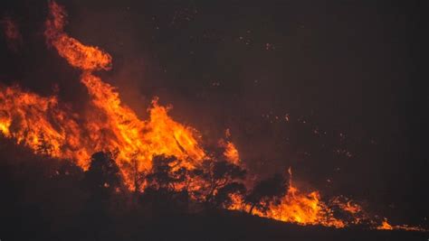 Feu dévastateur à Tenerife lincendie le plus compliqué des