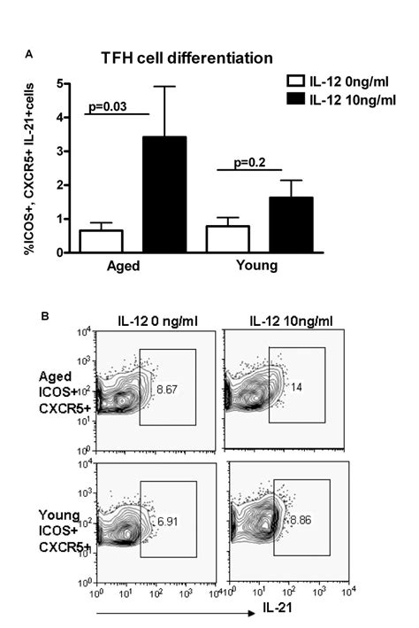 Increased Il Secretion By Aged Cd T Cells Is Associated With