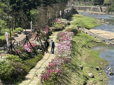 萬金杜鵑雙北合作 大安森林公園美麗綻放 Ettoday地方新聞 Ettoday新聞雲