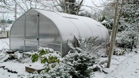 How to Get Your Greenhouse Ready for Winter - Greenhouse Info