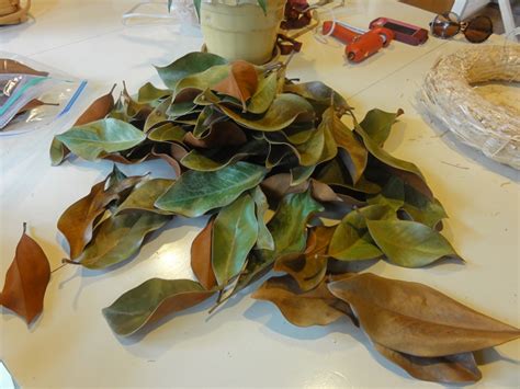 Diy How To Make A Wreath With Magnolia Leaves In Easy Steps Lehman Lane