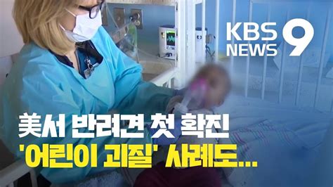 미국서 반려견 코로나19 첫 확진유럽·미국서 ‘어린이 괴질 속출 Kbs뉴스news Youtube