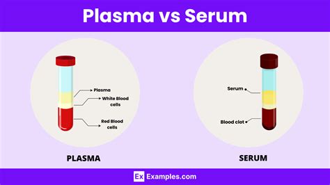 Plasma vs Serum - Key Differences Explained