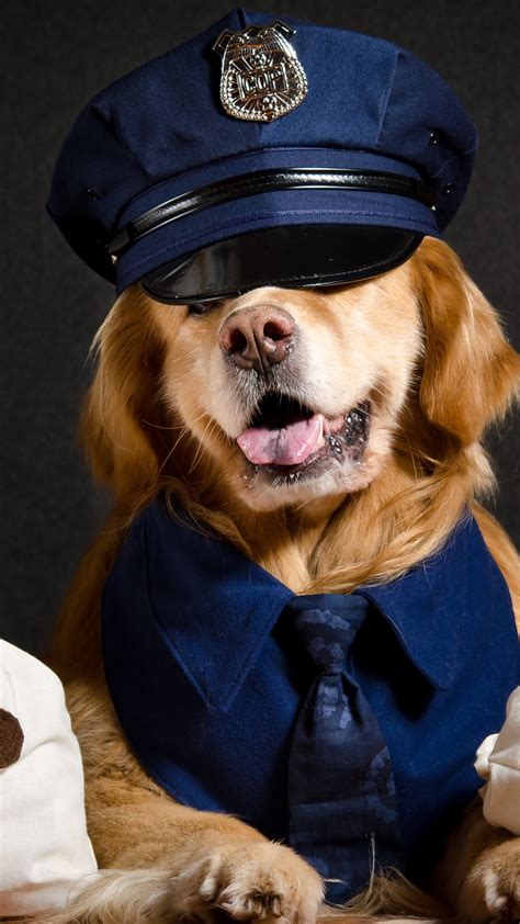 Wallpaper Cool dog, police, funny animals 3840x2160 UHD 4K Picture, Image