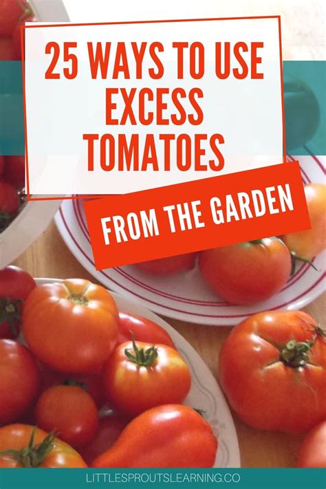 25 Ways To Use Excess Tomatoes From The Garden Garden