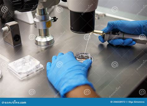 Hands of a Scientist in the Laboratory with a Test Tube and a Microscope. the Invention of the ...