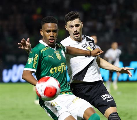 Veja Fotos Do Jogo Entre Palmeiras E Ponte Preta Pelas Quartas Do