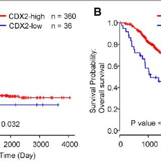 Kaplan Meier Curves Of Disease Free Survival Dfs And Overall Survival