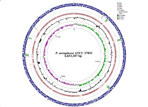 Circular Genome Map Of P Aeruginosa Atcc 27853 Showing The Genomic