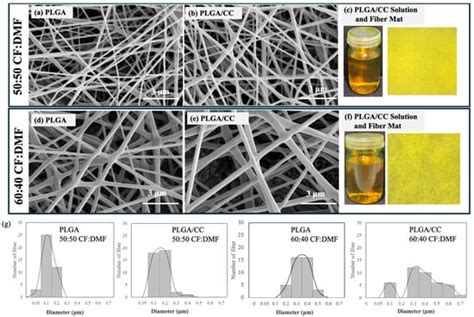 Polymers Free Full Text Bilayer Scaffolds Of Pllapclcab Ternary Blend Films And Curcumin