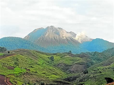 coffee farming   barred  mt apo  national policy