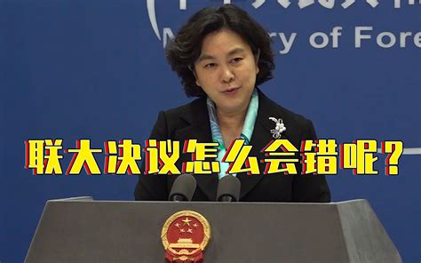 台湾未获世卫大会邀请 外交部：民进党当局造成哔哩哔哩bilibili