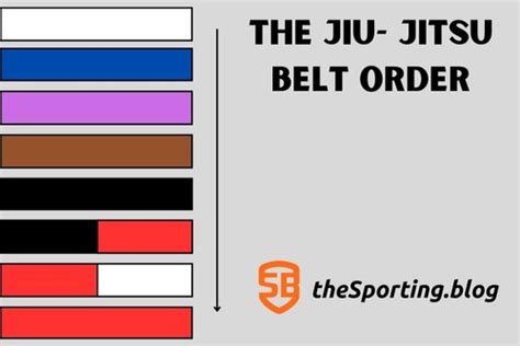 A Guide To Jiu Jitsu Rankings And Belt Order — The Sporting Blog