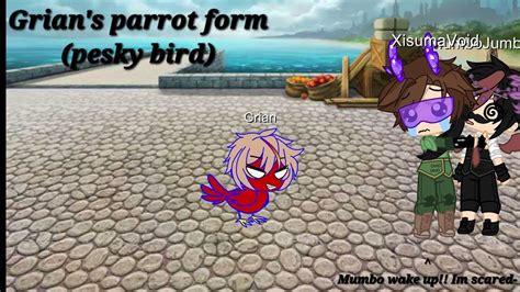 Pesky Bird Ft Grian Mumbo And Xisuma Lillsparkles Youtube