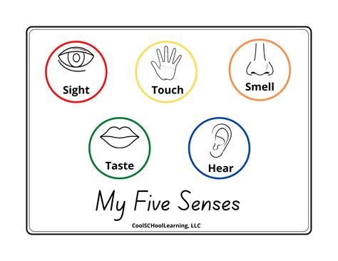 5 Senses Printable, Preschool Poster, Kindergarten Readiness, Kids Playroom Decor, Classroom ...