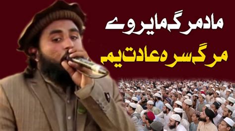 Hafiz Muhammad Zeshan Best Voice Pashto New Naat Deoband Nashriyat New