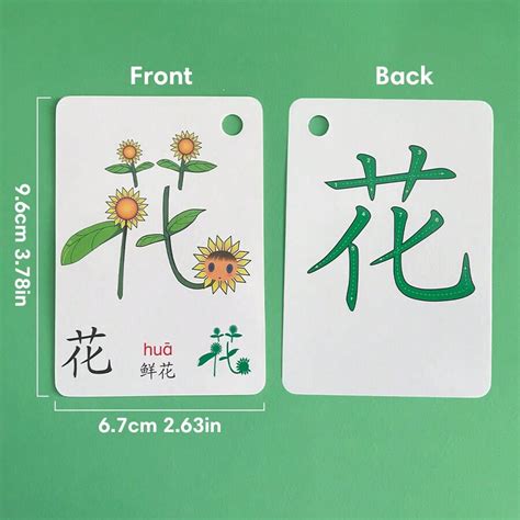 Cartes D Apprentissage De Mots Chinois Avec Caract Res Chinois