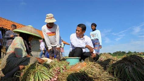 Pengamat UI Kementan Untungkan Petani Dan Konsumen Dengan Terapkan