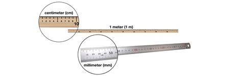 Meter Stick and Metric Ruler (New) – Lablearner Metriclab