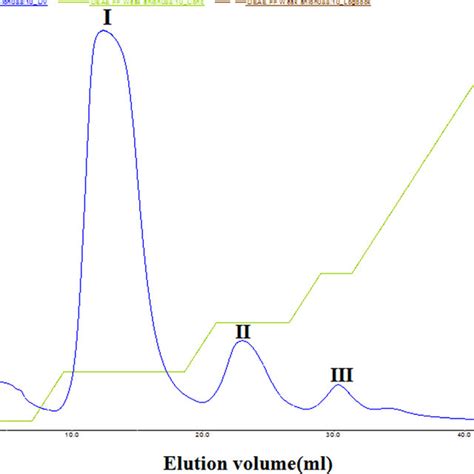 Chromatogram Of Size Exclusion Chromatography With Superdex Pg 200 Download Scientific Diagram