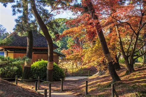 冈山后乐园 冈山县官方观光指南 探索冈山 晴天之国