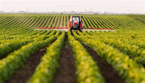 El Sector Agropecuario Peruano Gana Impulso Silvestre Per