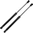 Amazon Pcs Front Hood Lift Support Shocks Struts C