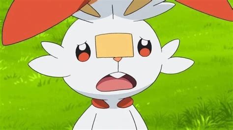 All 8 Rabbit Pokemon The Ultimate List