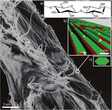 Cellulose (structure shown in inset (a)) fibers (here, cotton linters... | Download Scientific ...