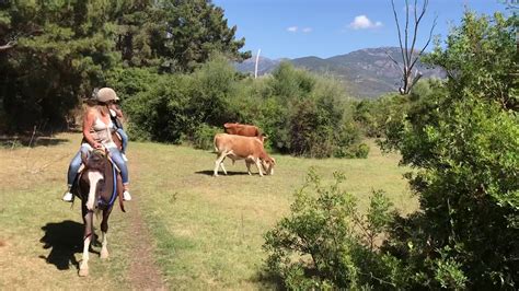 Balade à cheval dans les pins avec le CLG Ranch de Cargese Corse