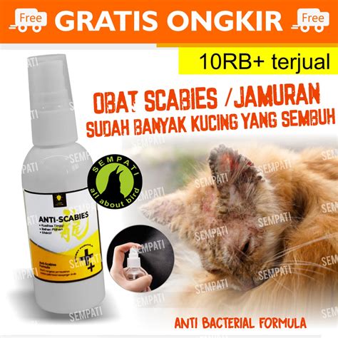 Jual Obat Jamur Kucing Anti Scabies Obat Kulit Spray Obat Kucing