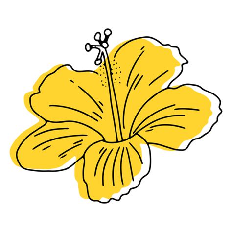 Yellow Hawaiian Flower Hand Drawn Png Svg Design For T Shirts