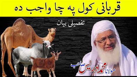 Da Qurbani Bayan By Sheikh Al Hadith Molana Idrees In Pashto