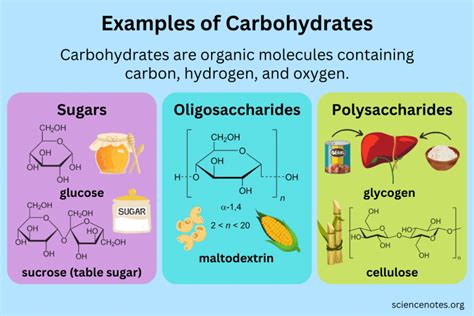 Examples of Carbohydrates