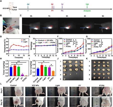 Boosted Photo Immunotherapy Via Near Infrared Light Excited