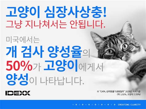 Idexx Korea